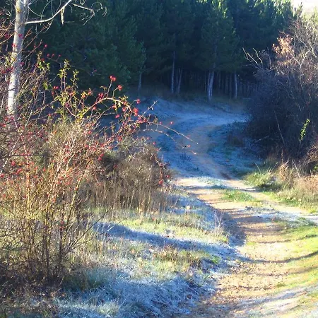 別荘 Casa Dona Julia