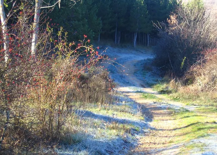 Holiday home Casa Dona Julia