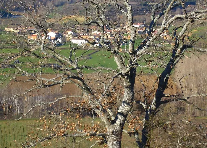 Holiday home Casa Dona Julia